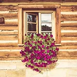 Roubenka U Huvaru * Tachov (Ceska Lipa)